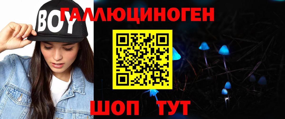 Галлюциногенные грибы мухоморы Губкин